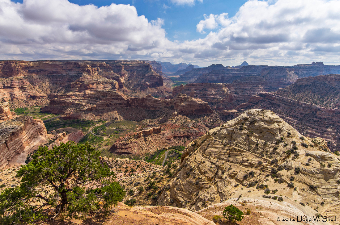 Taking pictures - Picture of Wedge Overlook & Buckhorn Draw